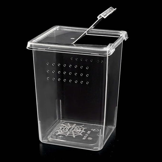 6 Pcs Tarantula Enclosure Insect Spider Terrariums Breeding Box Jumping Spider Enclosure Breeding Box Hatching Container Insect Container Breeding Box (Small Size)