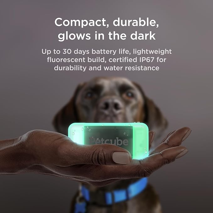 Petcube GPS Tracker for Dogs | Pet GPS Location Tracker with Escape Alerts and Virtual Fences, Activity and Wellness Monitoring, Glows in a Dark, Water and Dust Proof