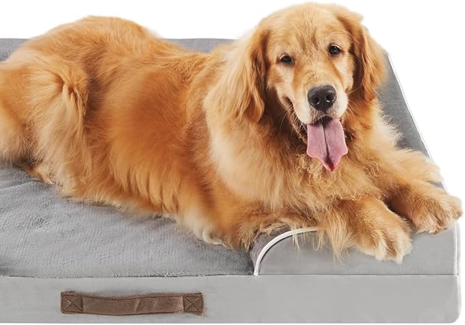 Friends Forever Orthopedic Dog Bed, Bolster Dog Bed with Memory Foam Dog Couch Sofa and Removable Washable Cover, Ally Grey, 42x32x7