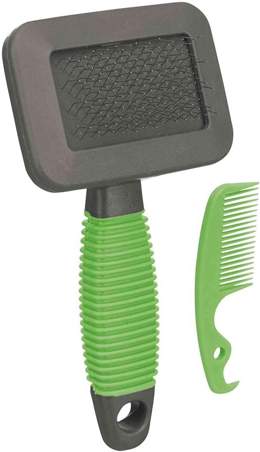 TRIXIE Pet Grooming Soft Brush & Comb Set for Puppies, Kittens, and Small Animals