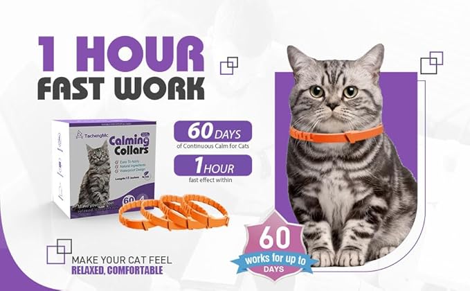 4 Pack Calming Collar for Cats, Cat Collars Efficient Relieve Reduce Anxiety Stress，Make Comfortable Relaxed，Pheromones Collar, Cat Calming Collar Kitten Supplies, Lasting 60 Days, Orange