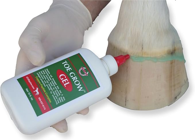 SBS Equine | Toe Grow Gel | Horse Hoof Care Product Promotes Hoof Growth and Healing | Increases Blood Flow and Collagen Production (10 Fluid Oz)