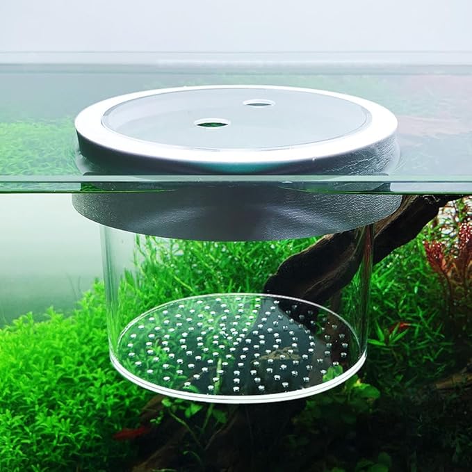 Floating Isolation Box, Acrylic Suspended Fish Tank Isolation Box, Breeding Box Fish Egg Isolation Net Incubation Box