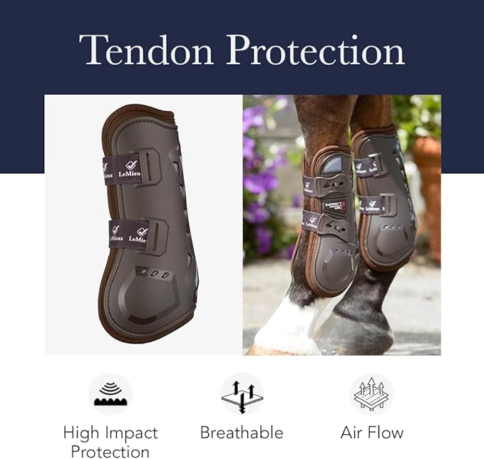 LeMieux Horse Tendon Boots - Protective Gear and Training Equipment - Equine Boots, Wraps & Accessories - Tendon Protection and Support