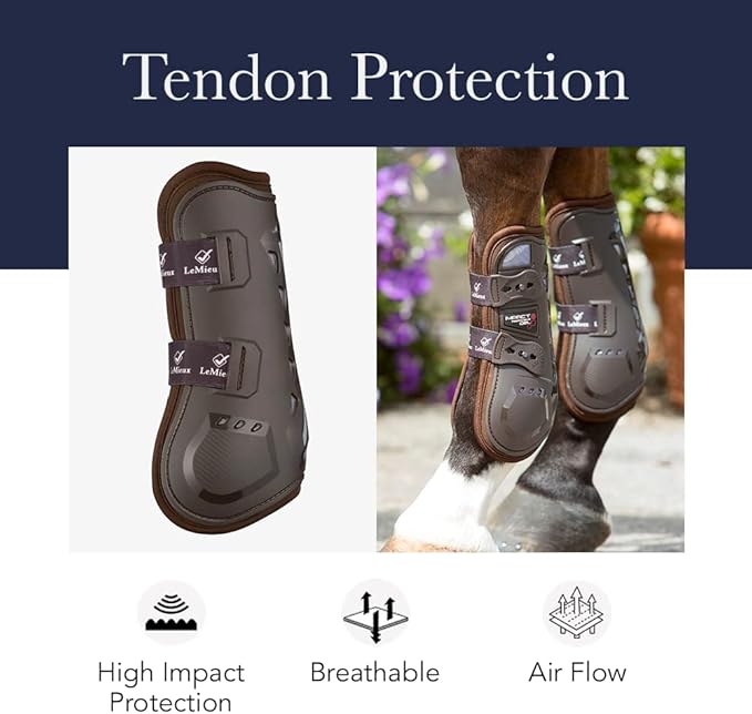 LeMieux Horse Tendon Boots - Protective Gear and Training Equipment - Equine Boots, Wraps & Accessories - Tendon Protection and Support