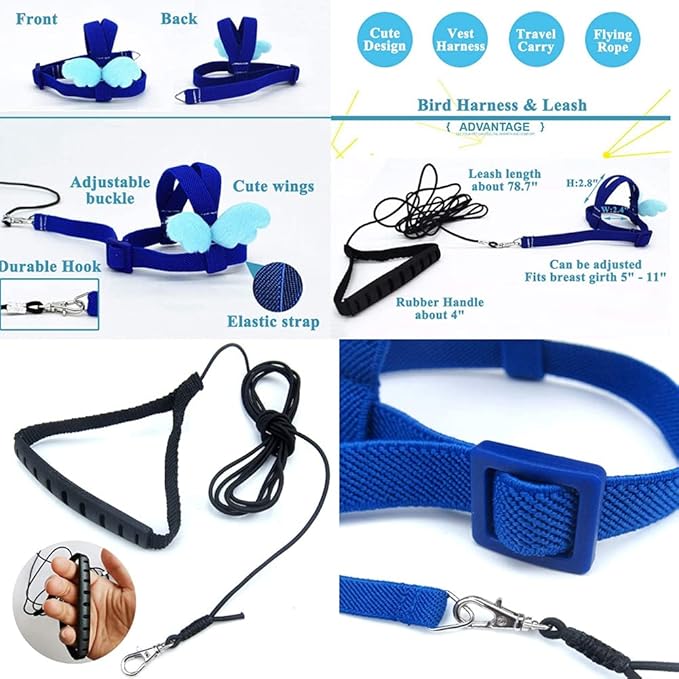 Birds Adjustable Harness and Leash, Parrot Outdoor Flying Training Traction Rope Straps with Cute Wing for Small Animal Birds, Parrots, Pigeons, Lizard, Turtles (M,Blue)