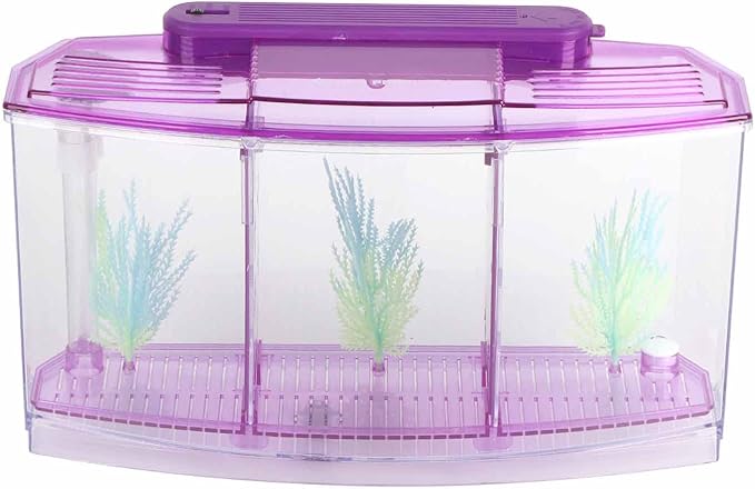 AYNEFY LED Acrylic Three Divisions Breeding Isolation Box for Small Fishes withLights and Grass ()