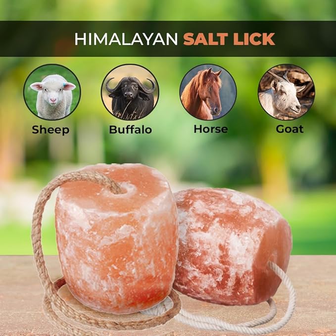 Himalayan Salt Lick on Ropes for Animals - All Natural Pure Mineral Block - Himalayan Pink Salt Block for Deer, Salt Block for Horses, Salt Block for Sheeps, and Cows. 3-4 lbs Each (Pack of 12)