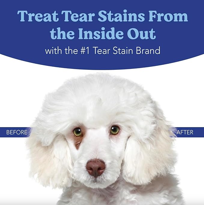 ANGELS' EYES NATURAL PLUS Tear Stain Prevention Chicken Powder for Dogs | All Breeds | No Wheat No Corn | Daily Support for Eye Health | Proprietary Formula | Limited Ingredients | Net Content 75g