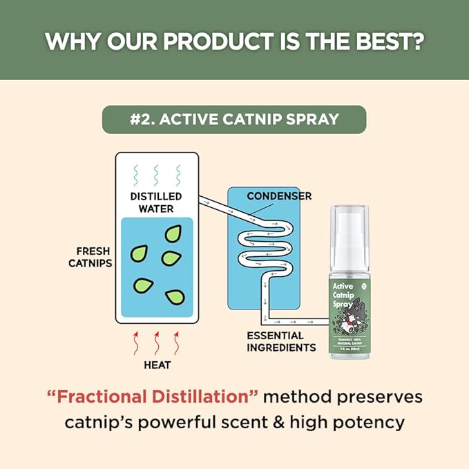 Active Catnip Spray (1 fl.oz) Active Catnip Powder (0.5oz) - Potent Fresh Leaves or Liquid for Entertaining Cats, Reducing Stress & Anxiety, Reviving Old Toys (Spray+Catnip)