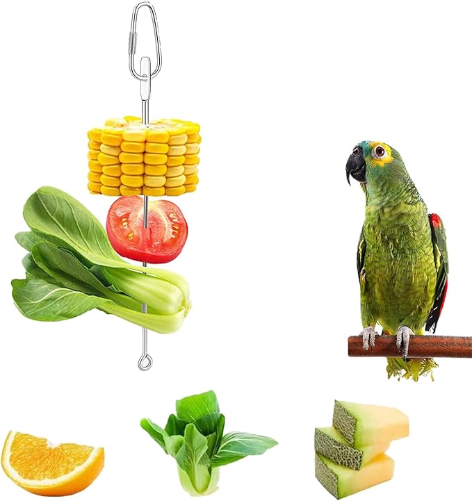 3Pcs Parrot Fruit Vegetable Skewer, Bird Food Holder Small Animal Fruit Vegetable Holder Stainless Steel Bird Parrot Skewer for Parakeet Budgie Conure Macaw