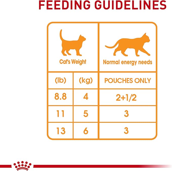 Royal Canin Hair & Skin Care Chunks in Gravy Wet Cat Food Pouch, 3 oz pouch (12-count)