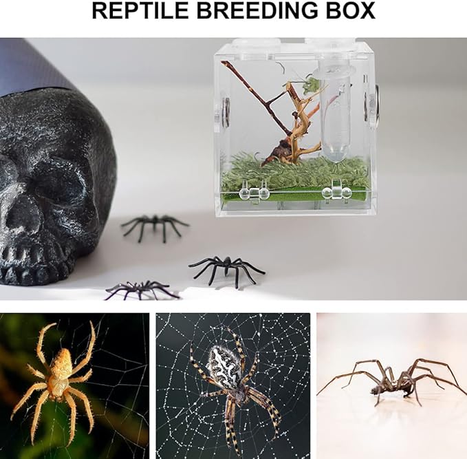 balacoo 8 Sets Jumping Spider Enclosure: Spider Cage Habitat Terrarium Micro Scorpion Droppers Reptile Hide Clear Jumping Enclosure Breeding Box Case with Breeding Tweezers Tank