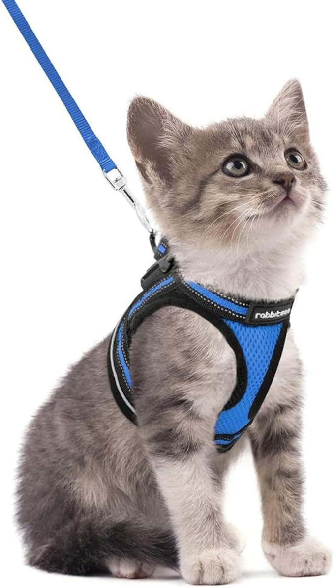 rabbitgoo Cat Harness and Leash Set for Walking Escape Proof, Adjustable Soft Kittens Vest with Reflective Strip for Cats, Comfortable Outdoor Vest, Blue, S