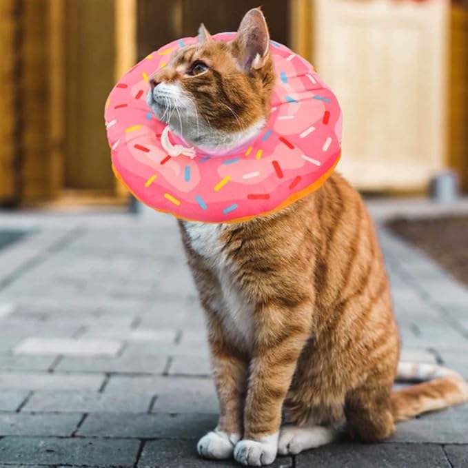 Cat Cone Collar Soft, Cat Recovery Collar Cute Cat Donut Adjustable Elizabethan Cone Cat Cones to Stop Licking Comfortable Lightweight Neck Cone for Cats Kittens After Surgery