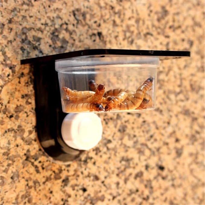 Reptiles Lizard Gecko Food Water Bowls Terrarium Breeding Feeders Box Feeding Bowl for Small Reptiles(White)