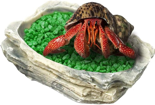 SunGrow Small Hermit Crab Feeding Bowl, for Turtle, Leopard & Crested Gecko, Ball Python, Durable, Multifunctional Decor, Serve as Climbing Toy or Drinking Bowl