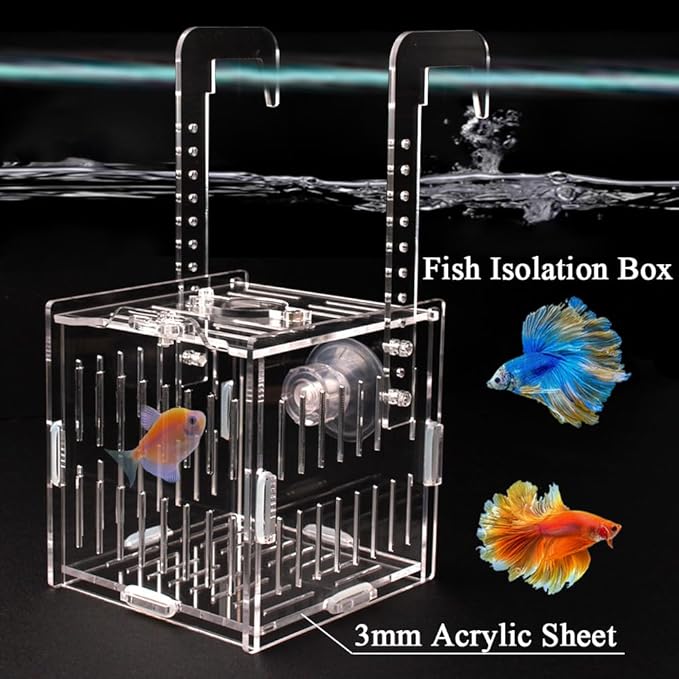 Acrylic Fish Breeding Box Fish Isolation Box Aquarium Divider Hatchery Incubator Breeder Box for Fish Tank Small Fish Shrimp Clownfish (4.5x4.5x4.1inch)