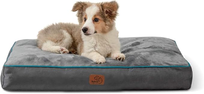 Bedsure Medium Dog Bed for Medium Dogs Cats, Dog Bed Pillows - Up to 50lbs, Waterproof Dog Beds with Removable Washable Cover, Pet Bed Mat, Grey