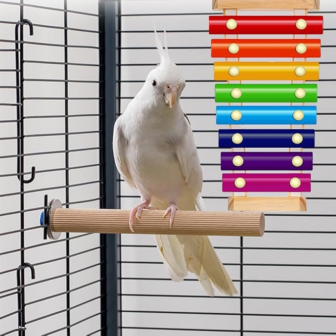 Large Parrot Toy Bird Xylophone Toy Bird Cage Bell Accessories Music Musical Training Toy for Conure Budgie Cockatiel Cockatoos Parakeet Finch Love Birds Canary Macaws Medium Outdoor Wild Bird