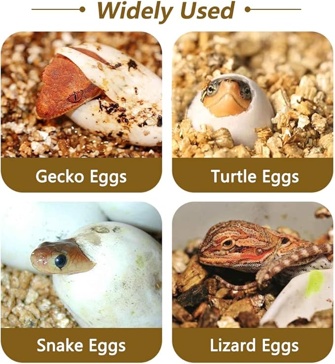 16 Grids Reptile Breeding Box, Reptile Egg Incubator Professional Plastic Reptile Breeding Box Hatching Box Case Tray for Hatching Gecko Lizards Lions Mane Without Thermometer