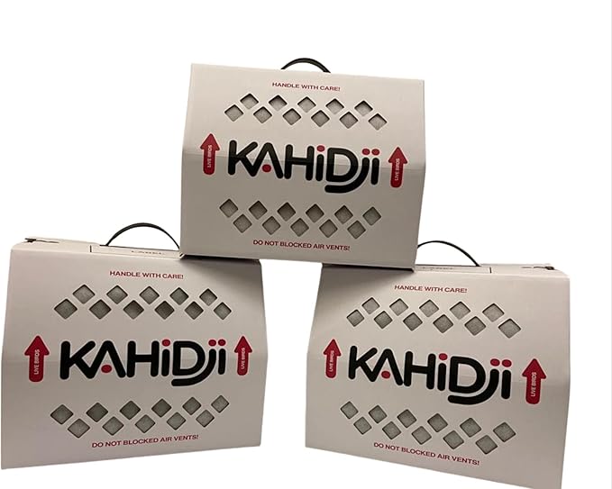 Live Bird Shipping Box Less Expensive Size 12" x 12" x 10" Tall - for Poultry, Pigeons, & Canaries -3 Boxes by KAHIDJI
