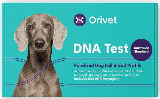 ORIVET Dog DNA Test Kit - Australian Shepherd Full Breed Profile | Puppy Testing Against 250 Medical Health Risks & Traits | Genetic Fingerprint & Wellness Plan | at Home Cheek Swab