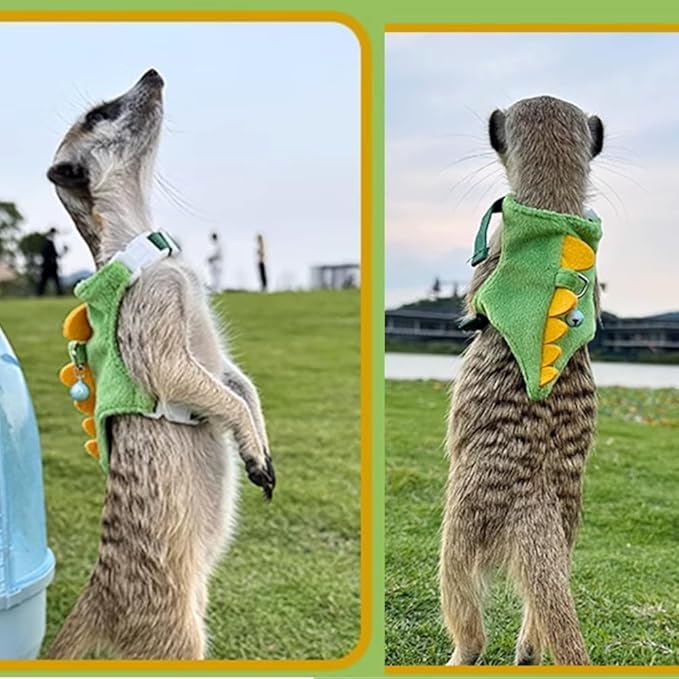 Ferret Harness and Leash Set Small Animals Vest Harness with Safe bell Dinosaur Shaped Walking clothes for Baby Rabbit Guinea pig Teacup Chihuahua Mouse and other small pet (B)