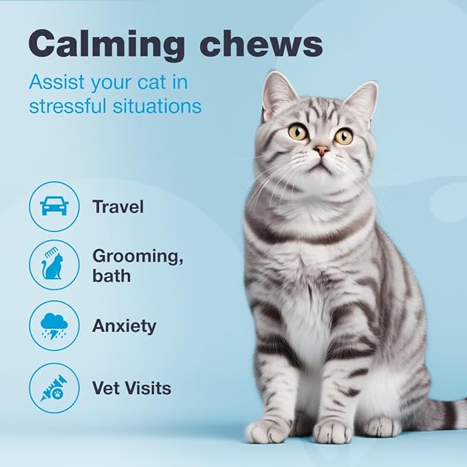 Cat Calming Treats - Hemp Calming Care for Cats - Cat Anxiety Relief - Cat Melatonin Soft Chews with Hemp Seed Oil, L-Tryptophan - Calming Chews for Cats - Storms, Travel, Grooming, Separation