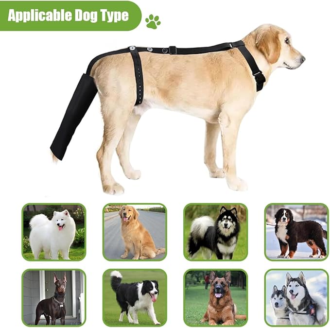 Dog Tail Protector Bag Dogs Tail Guard Sleeve Wound Heal Protector for Pets Animals Dog Happy Tail Syndrome