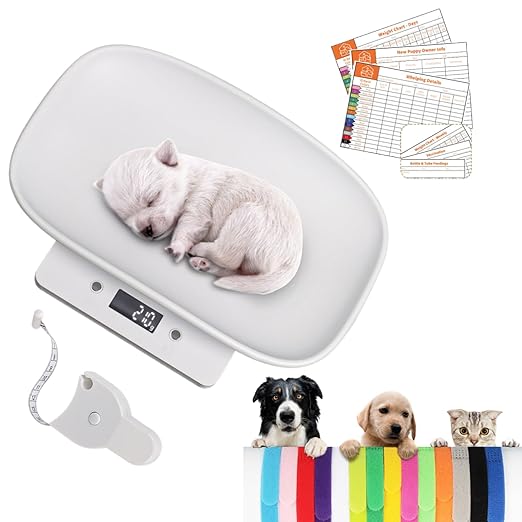 Digital Pet Scale, Puppy Scale for Weighing, Puppy Whelping Scale, Newborn Pet Weighing, Accurate Small Animal Scales for Cat Dog/Kitten/Hedgehog, Multi-Function LCD Scale,Max 33lb, 11.4 inch