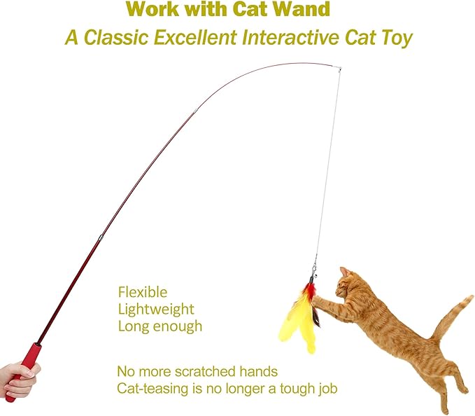 11PCS Cat Feather Toys Replacement Cat Toy Wand Refills, 10PCS Feathers Refill and 1PC Replacement String, Interactive Cat Wand Toy Replacement Feather for Bored Indoor Adult Cats Kitten