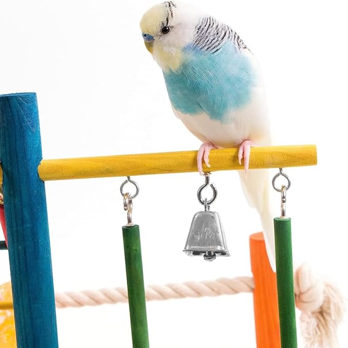 Penn-Plax Bird Life Wooden Playpen – Great for Parakeets, Lovebirds, and Parrotlets – Small