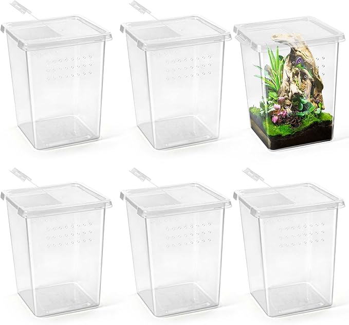 6 Pcs Tarantula Enclosure Insect Spider Terrariums Breeding Box Jumping Spider Enclosure Breeding Box Hatching Container Insect Container Breeding Box (Small Size)