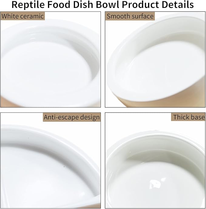 Reptile Food Water Bowl Set Lizard Feeder Ceramics Bowls Worm Live Fodder Container for Bearded Dragon Chameleon Lizard Hermit Crab Gecko Tortoise Spider Pet 3 Pieces