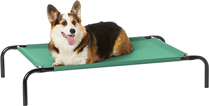 Amazon Basics Cooling Elevated Dog Bed with Metal Frame, Medium, 43"L x 25.6"W x 7.5"Th, Green