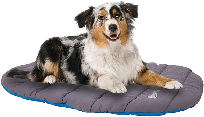 Chuckit Travel Dog Bed (39"L x 30"W) Water Resistant, Blue