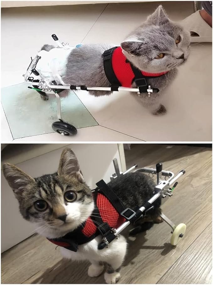 Cat Wheelchair Adjustable 2 Wheels Pet Wheelchair Lightweight Cat Barrier Wheels for Rehabilitation Aid for The Back Legs of Aging, Disabled, Injured, Arthritis, Weak Cats/Pets (XS)
