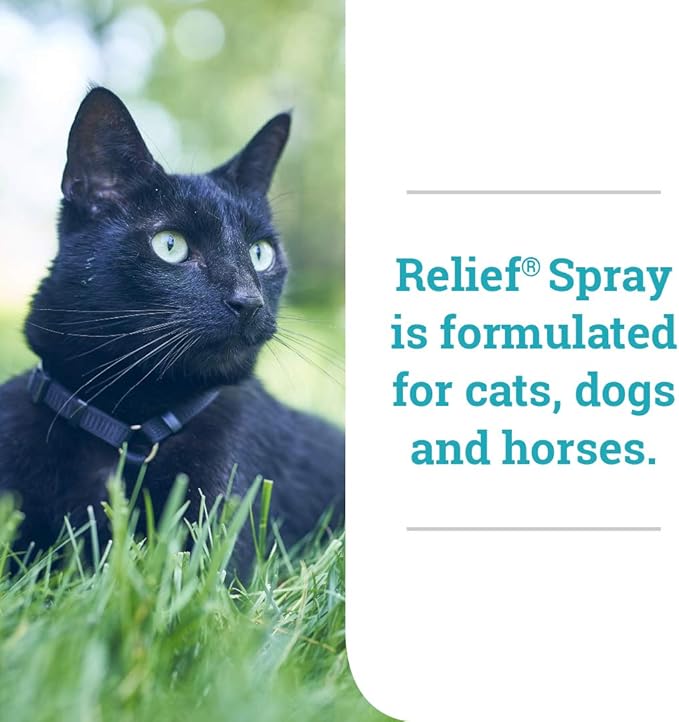 Relief Spray, temporary relief of itching and flaking, for dogs, cats and horses, 8 oz