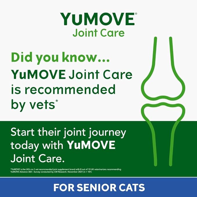 Joint Care for Senior Cats