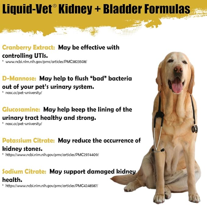 Feline Kidney & Bladder Advanced Formula, Chicken Flavor, 8 oz