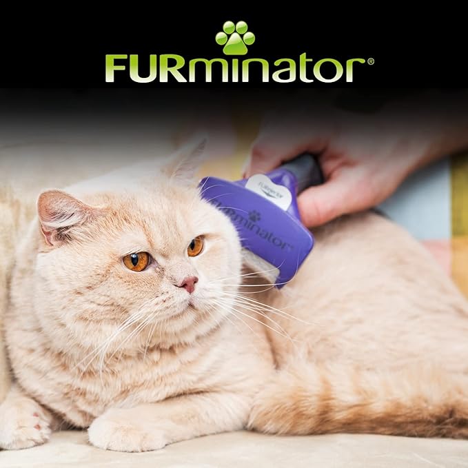 Furminator Undercoat Deshedding Tool for Medium/Large Short Hair Cat, M