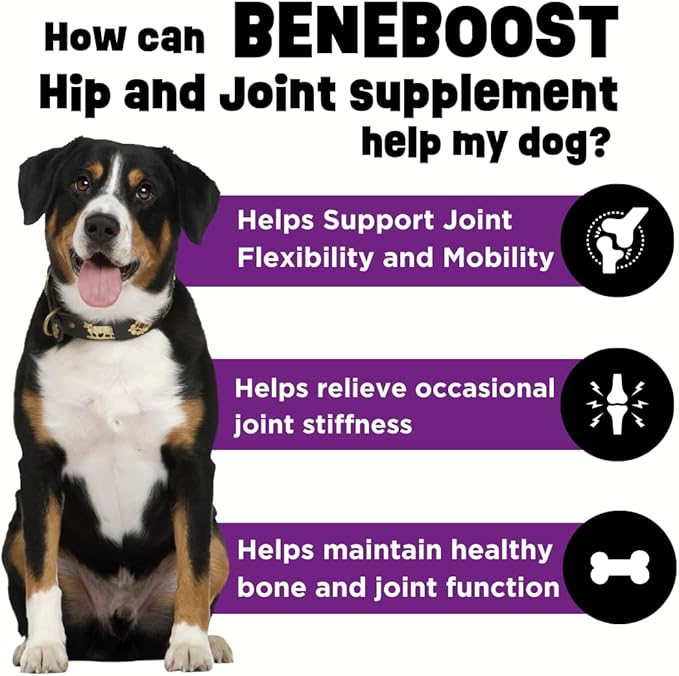 Dinovite BeneBoost Hip & Joint Liquid Food Topper for Dogs - Glucosamine Supplement - Joint Mobility Meal Topper - 16 oz