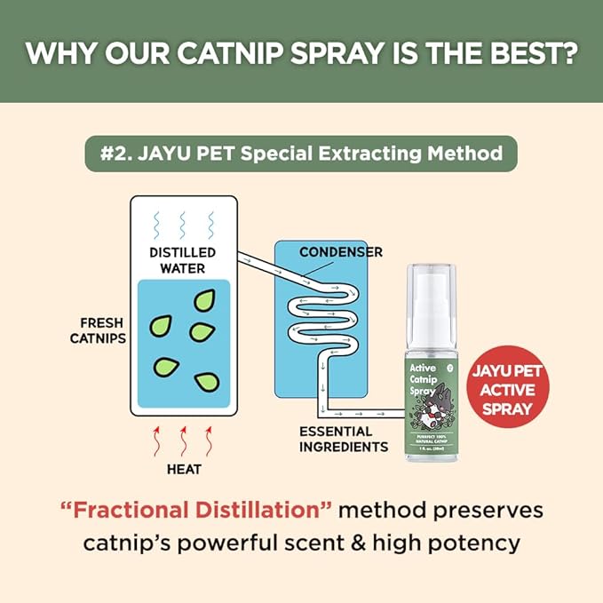 Active Catnip Spray - High Potency Transparent Liquid Spray made of Fresh Organic Catnip for Indoor Cats and Kittens, Relieves Stress, Calming, Revives Toys & Scratching Posts, Exercise (1fl oz)