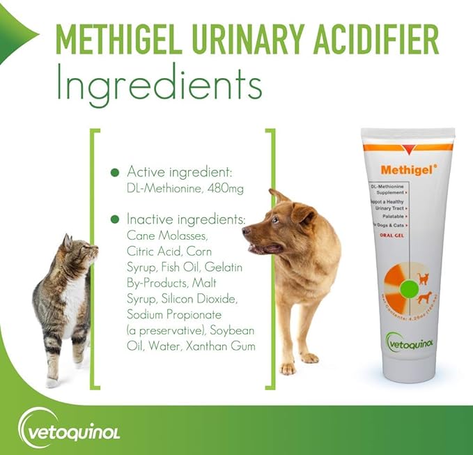 Vetoquinol Methigel Urinary Acidifier to Promote Urinary and Bladder Health for Dogs & Cats