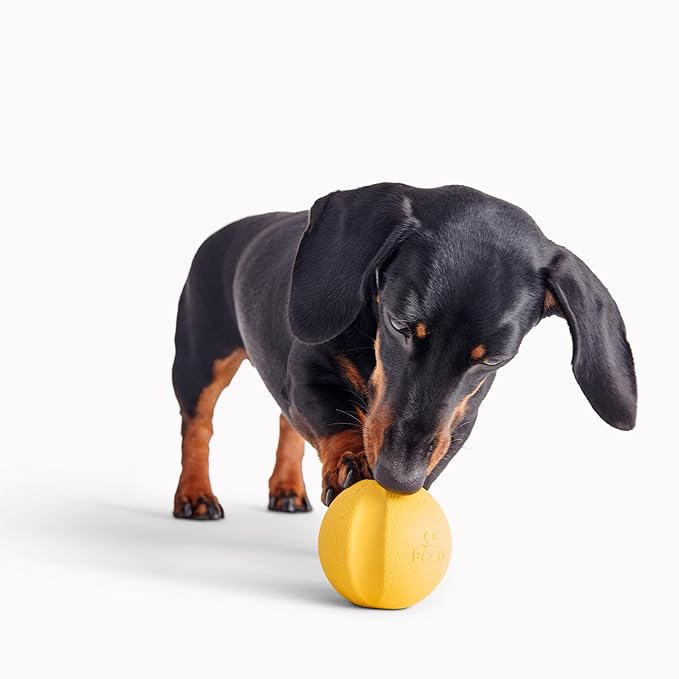 Beco Natural Rubber Outdoor Bouncy Play Ball for Dogs & Puppies, Fetch & Launcher Compatible, Bright Visible Yellow