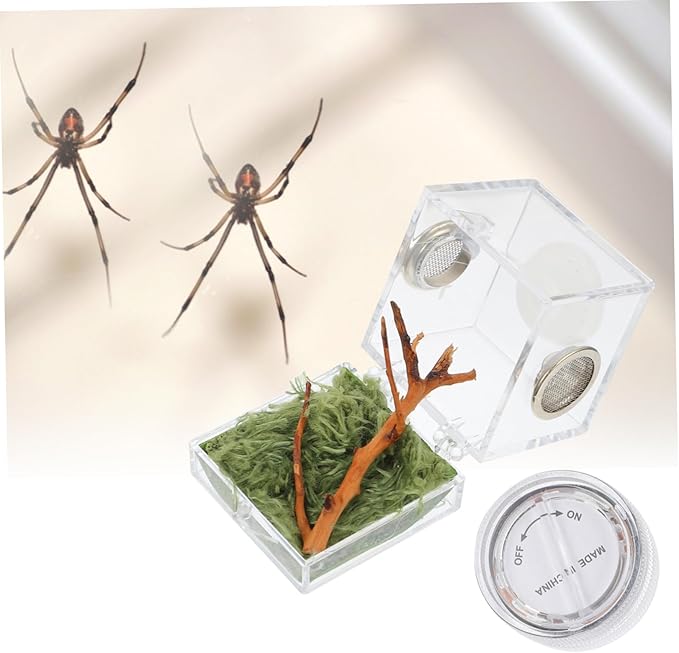 Mipcase 8pcs Box Jumping Spider Breeding Box Tarantula Terrarium Glass Container Glass Case Spider Habitat Holder Spider Habitat Cage Spider Landscape Cage House Spider Cage Pet