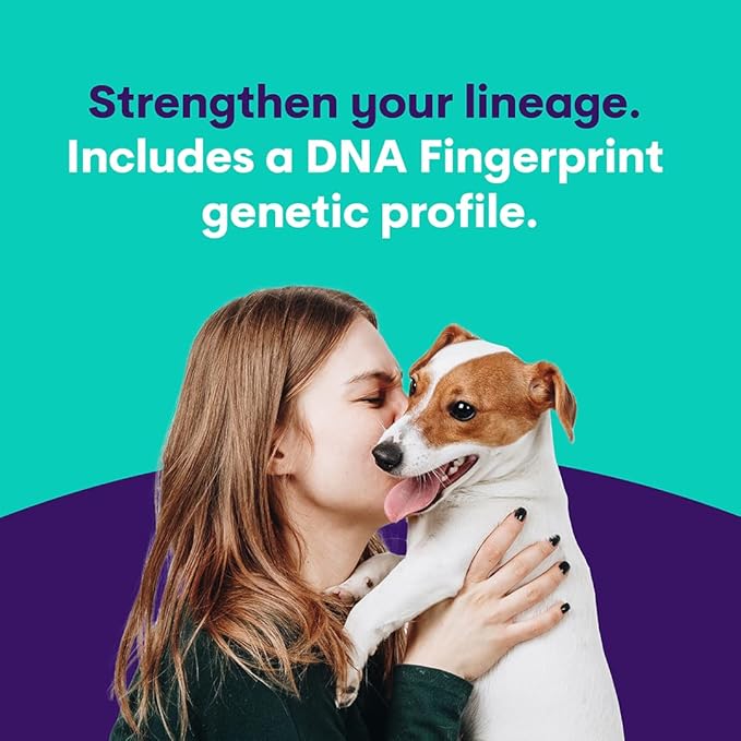 ORIVET Dog DNA Test Kit - Miniature American Shepherd Full Breed Profile | Puppy Testing Against 250 Medical Health Risks & Traits | Genetic Fingerprint & Wellness Plan | at Home Swab