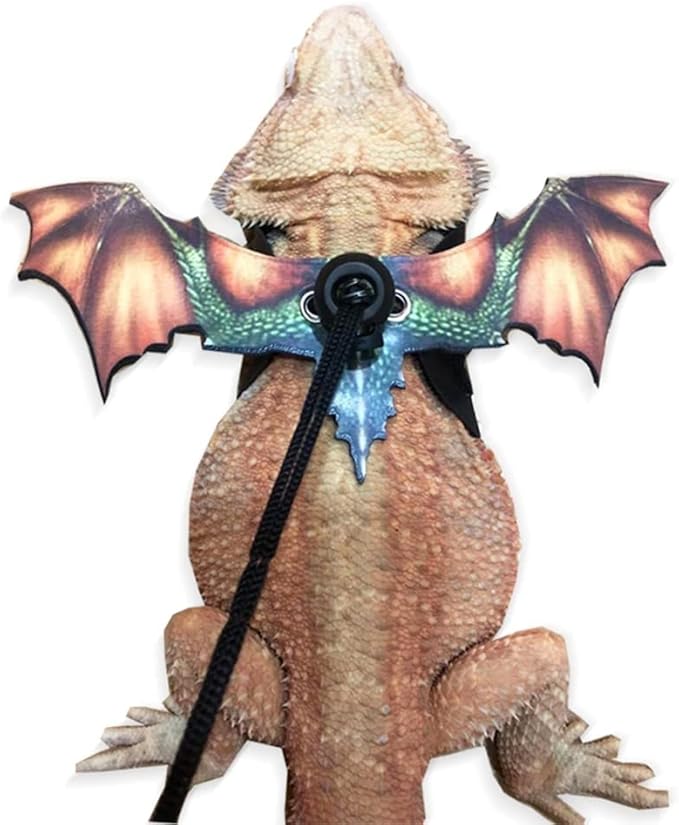 Bearded Dragon Leash, Adjustable Portable Reptile Leash with Cool Wings for Gecko, Bearded Dragon, Chameleon, Iguana, Hamster, Guinea Pig (S+M+L)