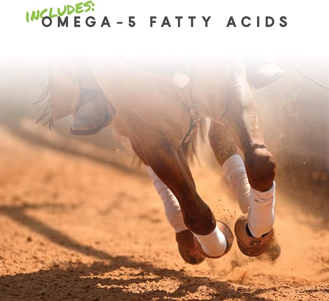 Manna Pro Cetyl-M Joint Supplement for Horses | Powered by Omega 5 Fatty Acids | 11.2 LB Pellets